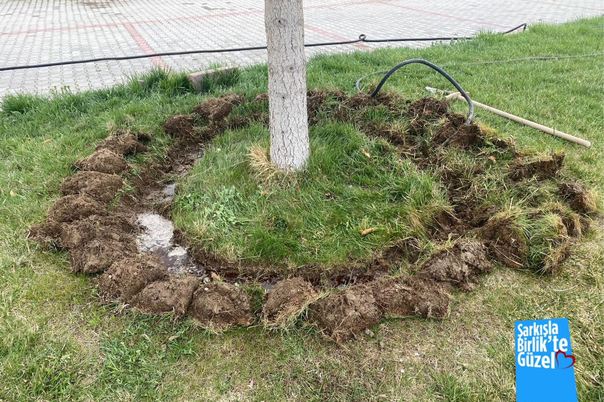 #