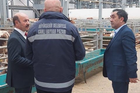 Belediye Başkanımız Kasım Gültekin, Erzurum Hayvan Pazarı ve Müzayede Salonunda incelemelerde bulundu..