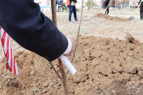Çanakkale Kahramanları Anısına 70 Fidan Dikildi!